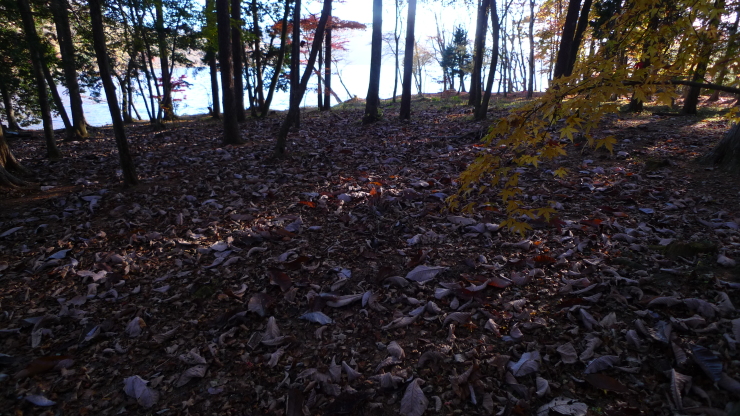 c0212083_21232156.jpg