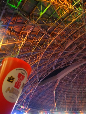 日本シリーズ_d0195183_7292154.jpg
