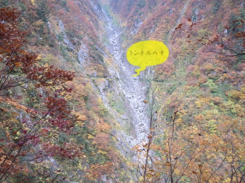 期間限定の登山道③_a0104890_164973.jpg