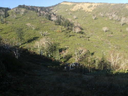 e0015490_10355612.jpg