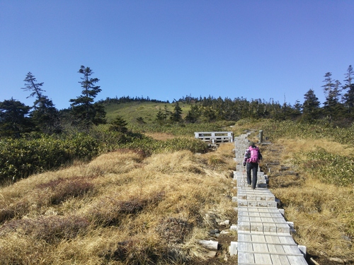 e0015490_10374623.jpg