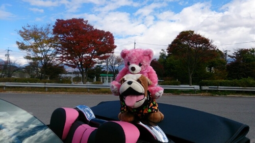f0256400_9541777.jpg