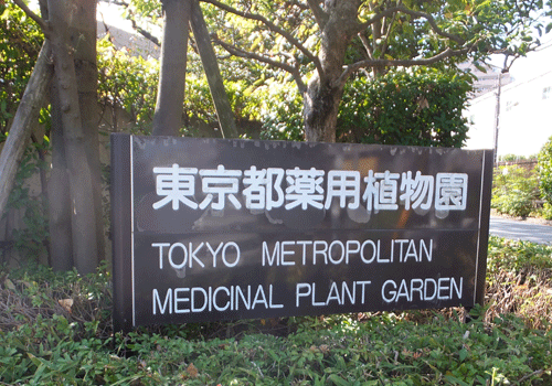 玉川上水　→　東京都薬用植物園　　2014年10月30日_c0204801_22145878.gif