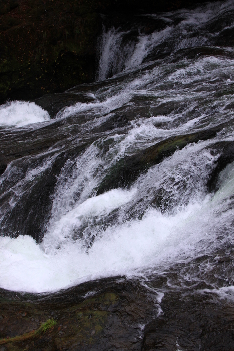 d0248502_19344117.jpg