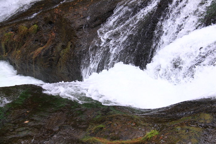 d0248502_1934750.jpg