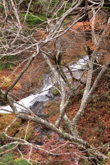 d0248502_19365214.jpg