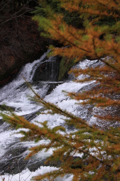 d0248502_19381566.jpg