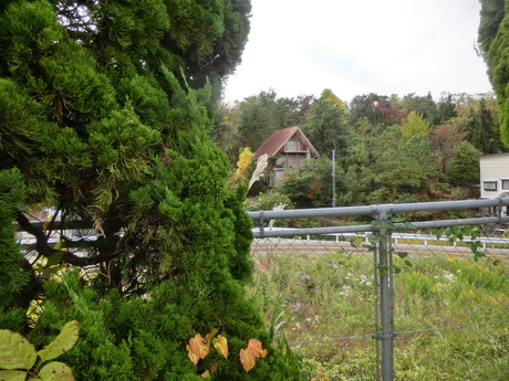 a0203003_17403122.jpg