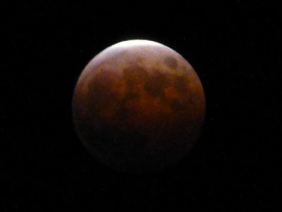 f0126903_2051116.jpg