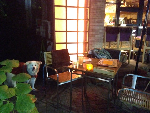 a0032004_2372690.jpg