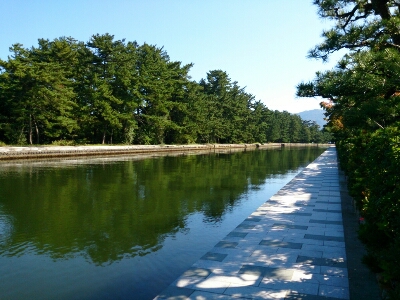 e0252905_1757037.jpg
