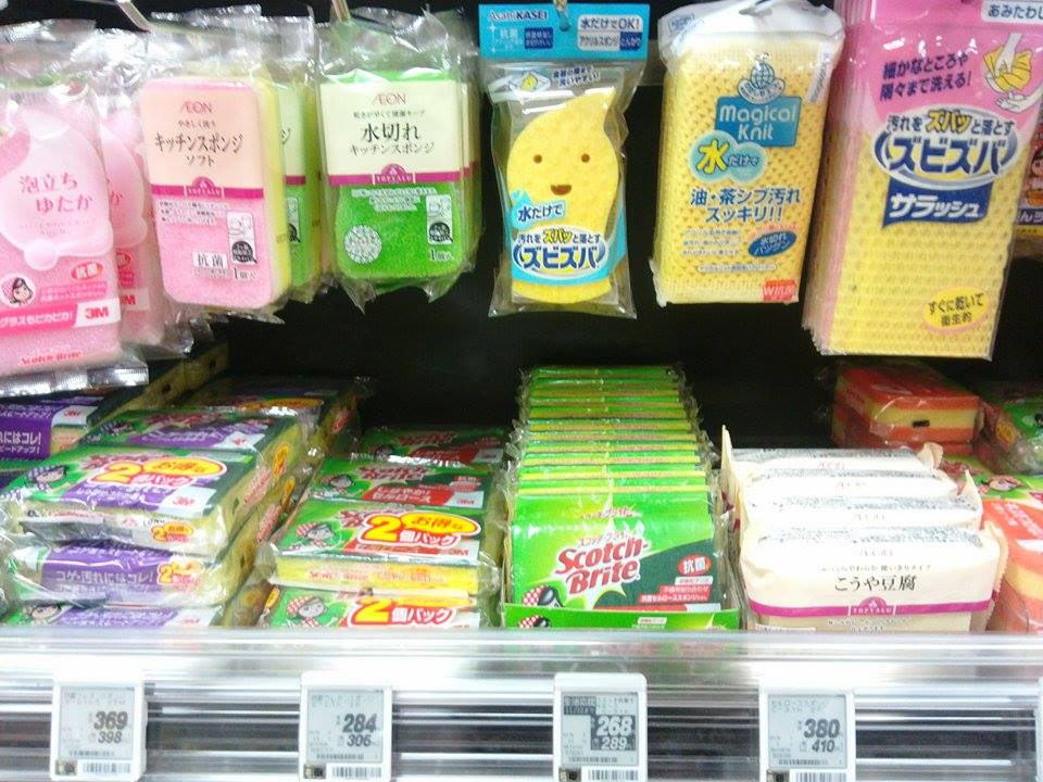 高野豆腐はスポンジなのか?バブなのか?_f0180307_16104738.jpg