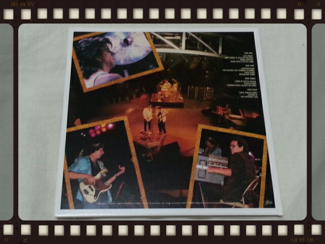 STEVIE RAY VAUGHAN AND DOUBLE TROUBLE / LIVE ALIVE_b0042308_025182.jpg