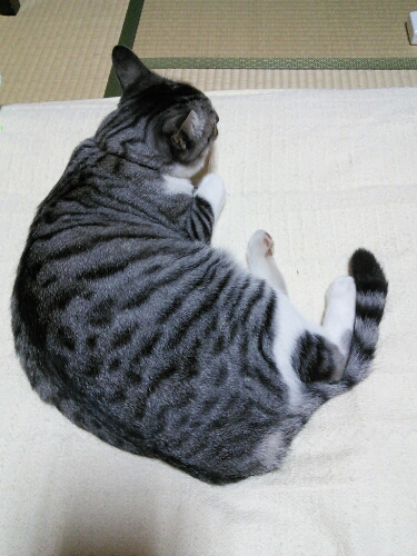b0307008_7464646.jpg
