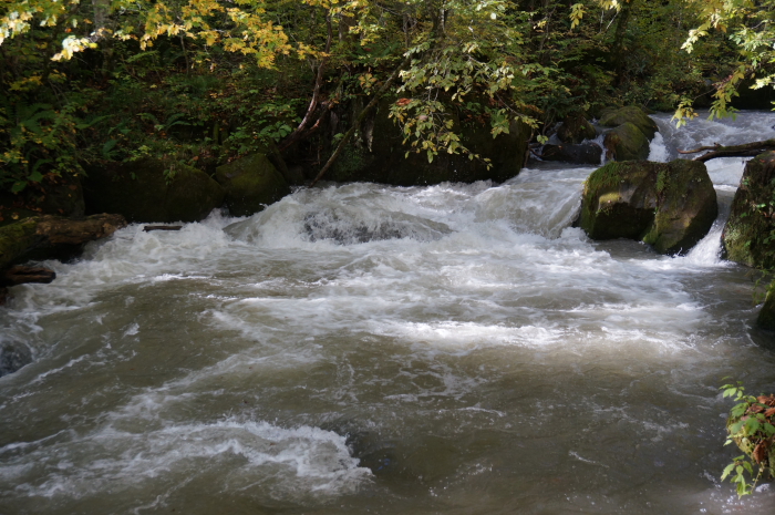 e0130008_1913033.jpg