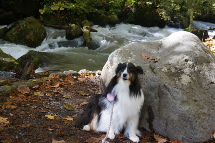 e0130008_1922012.jpg