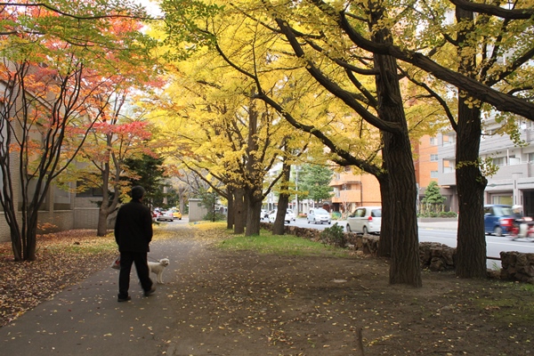 紅葉を見に行こうよう2014その４_a0109914_2185043.jpg