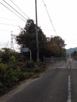 先の見えない現状_d0184114_23355273.jpg