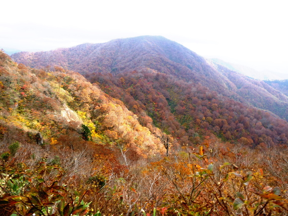 紅葉が素晴らしい　三周ｹ岳 (1,292M) に登る  　 登頂 編_d0170615_11483412.jpg