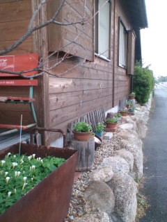 c0140516_2095227.jpg