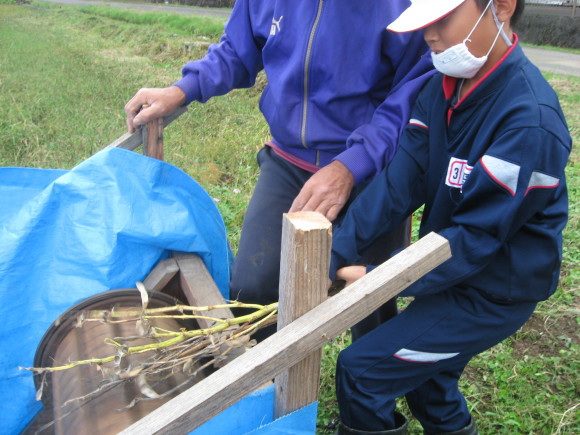 大豆収穫!南中山小学校三年生!!_e0061225_13185241.jpg