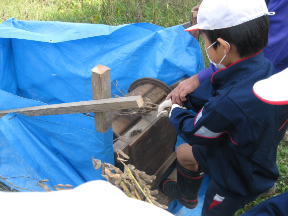 大豆収穫!南中山小学校三年生!!_e0061225_13193413.jpg