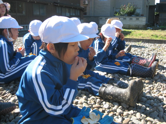 大豆の収穫…猪の被害に…服間小学校3年生奮闘!!_e0061225_15111980.jpg