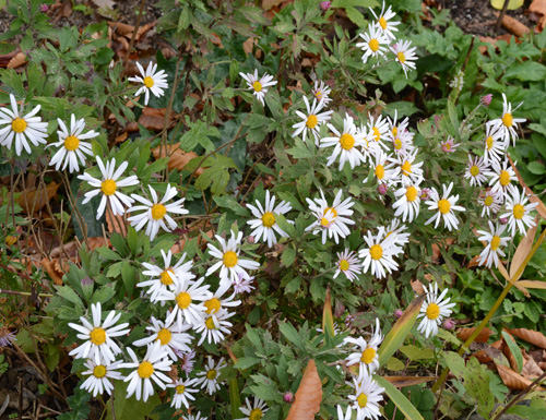 c0107129_22215492.jpg