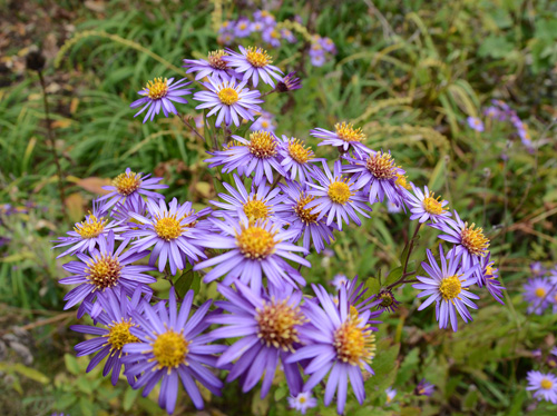 c0107129_22225364.jpg