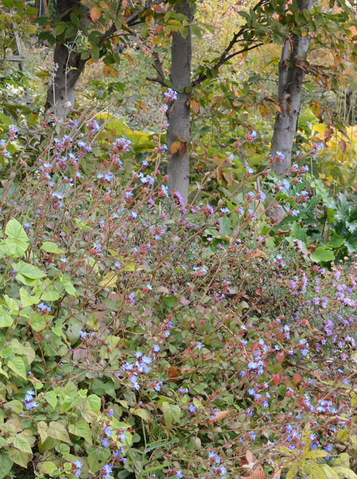 c0107129_2222972.jpg