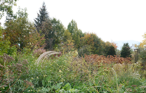 c0107129_2225139.jpg