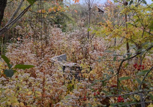 c0107129_22282523.jpg