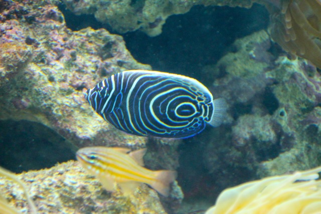 【葛西臨海水族園】葛西臨海散歩 part 1_f0348831_22333046.jpg