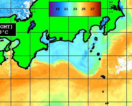今週末の海は・・・【カジキ・マグロトローリング】_f0009039_10004395.jpg