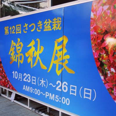 上野で盆栽の展覧会に立ち寄った_c0060143_8494190.jpg