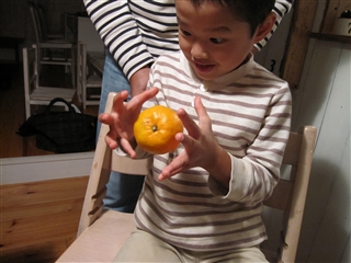 f0102043_2032264.jpg