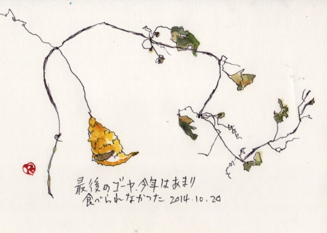 枯れてもなお・・・・_e0074955_2242292.jpg