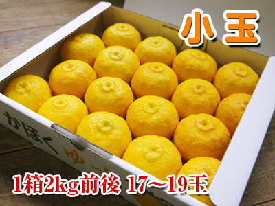 香り高き柚子 平成26年度の予約受付をスタートしました!!(商品ラインナップ紹介)_a0254656_1794427.jpg