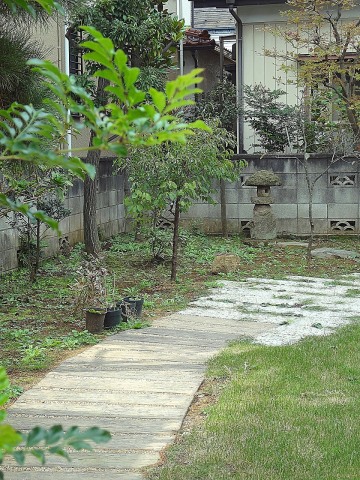 b0274159_16402172.jpg