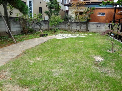 b0274159_17014237.jpg