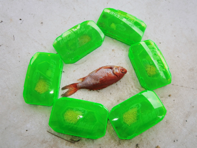 強大な 気になる 監督する 金魚 水槽 飛び出す Maxsystem Jp