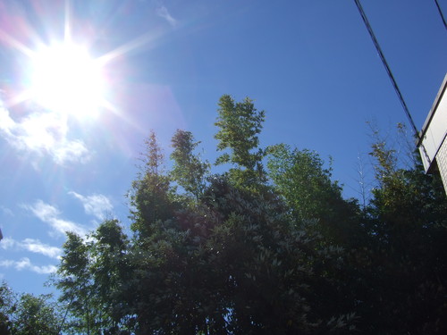 f0032766_22272976.jpg