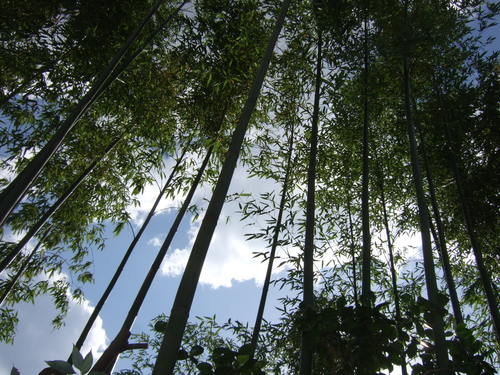 f0032766_2230897.jpg