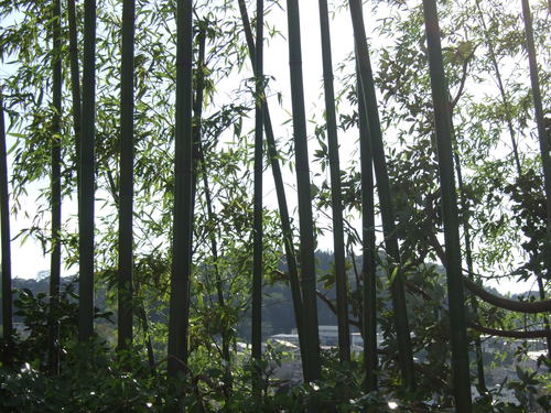 f0032766_22313457.jpg