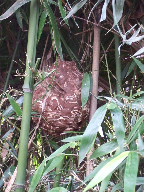 f0032766_22355966.jpg