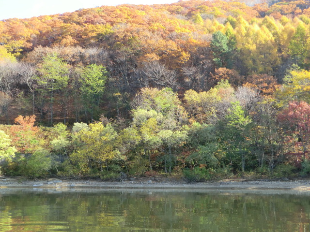 紅葉&#127809;その3_c0160368_1721276.jpg