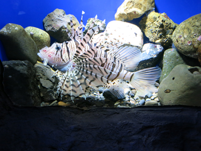 c0117570_1704746.jpg