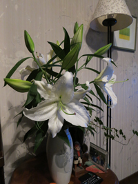 c0117570_177594.jpg