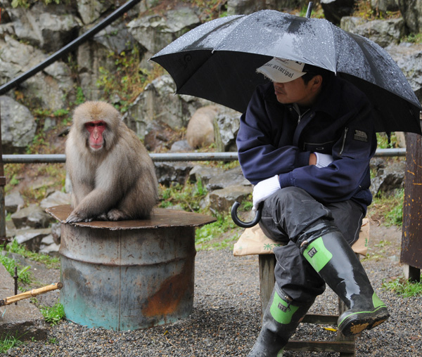 地獄谷野猿公苑_e0064375_2131282.jpg