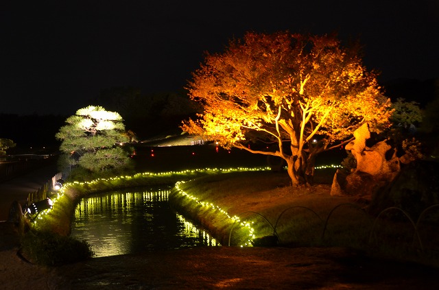 2014年10月31日　【秋の幻想庭園　プレス点灯】_a0185880_19493820.jpg